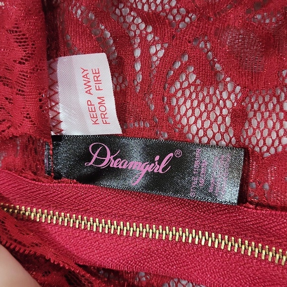 Dreamgirl Teddy Lingerie - Picture 9 of 14